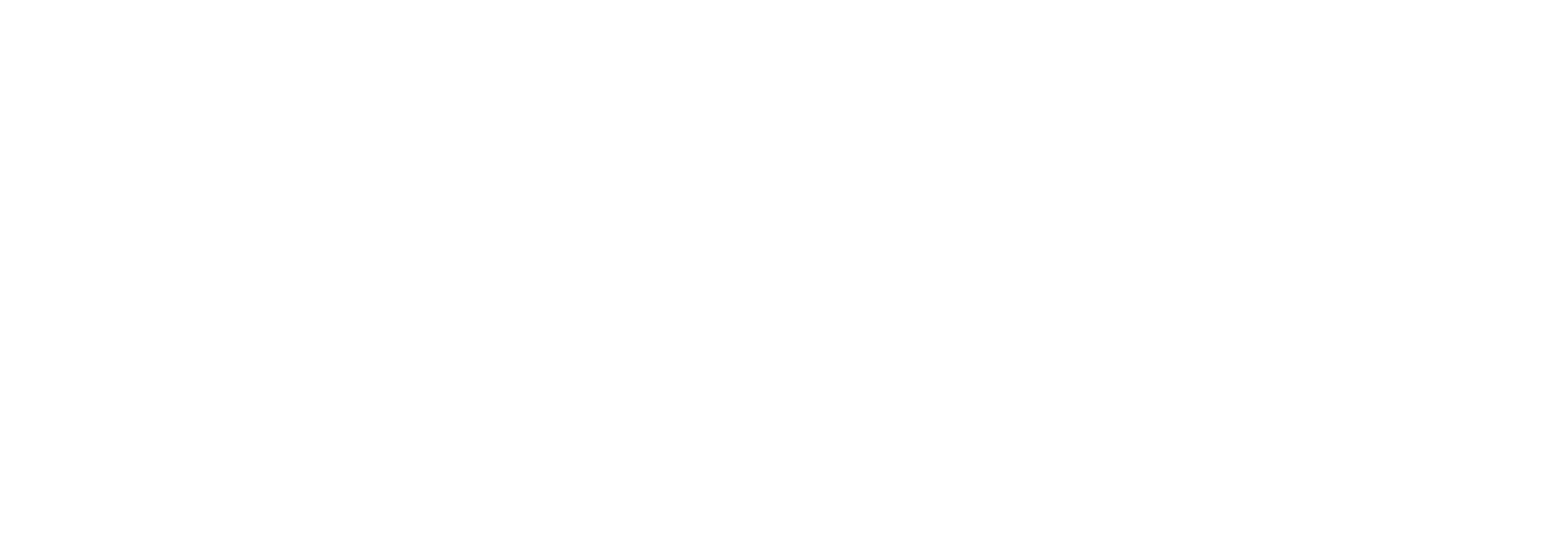 SecureVizual